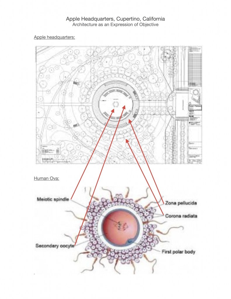 larger-cupertino-2-791x1024 (1)