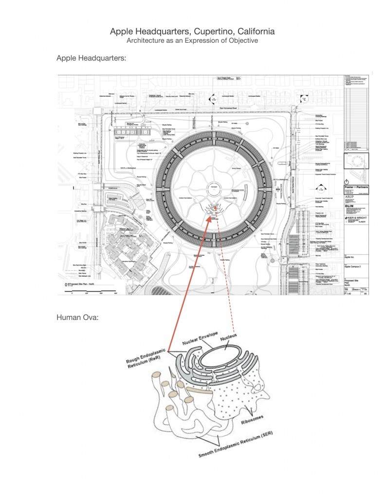 Apple-Headquarters-3-791x1024